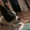 Marisa Dawson753 - @funandadventurous - TikTok
