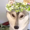 MarisaDawson - @ivy518295tn - TikTok