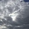 marisa.ellis - @marisa.ellis8 - TikTok