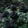 GamboaMarisa😘 - @gamboamarisa2 - TikTok