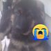 Marissa Irwin - Facebook