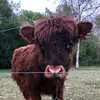 Marissa Medrano - @mmedrano04 - TikTok