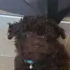 Marisa Mendiola - @marisamendiola29 - TikTok