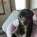 Marissa Nathan - Facebook