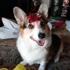 Marissa E. Osborn - @marissae.osborn - TikTok