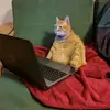 marissa.osborn - @marissa.osborn - TikTok