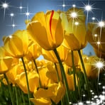 Marisa Pace - Facebook