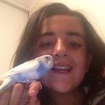 Marisa Pace - @all_about_animals0273 - Instagram