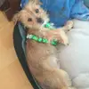 Marisa und Pepe - @pepesfunnylive - TikTok