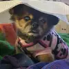 MarisaPetersen - @cuddypetersen - TikTok