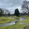 Marisa - @marisapinto10 - TikTok