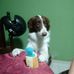 Marisa Prado - Facebook