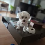 Marisa Ramon Ferrer - @marisa44150 - Instagram