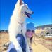 Marisa Reid - Facebook