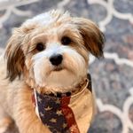 Marisa Small - @gotta_read - Instagram