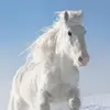 marisatesta97 - @marisatesta97 - TikTok