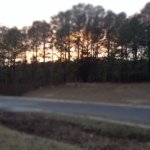 Marisa Townsend Photography - @_marisa_photography_ - Instagram
