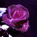 Marisabel Gonzalez - Facebook