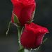 Marisela Galvan - Facebook