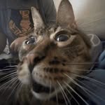 Marisela Lenore Smith - @mariselalenoresmith - Instagram