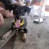 Marisol Aleman - @marisolaleman04 - TikTok