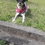Marisol Arcila Castaño - @willdimar2021 - Instagram