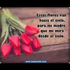 marisolbarba529 - @marisolbarba529 - TikTok
