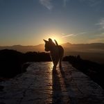 Marisol Barragan - @marisolbarraganbc - Instagram