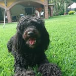 Marisol Barragan - @marisol.barragan.jimenez - Instagram