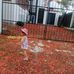 Marisol Uriostegui Barragan - Facebook