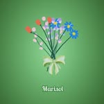Marisol Batista - @marisolbatistamunoz - Instagram