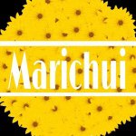 Marisol Bell - @maarichuui - Instagram