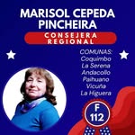 Marisol Cepeda Pincheira - @marisolcepedapincheira - Instagram