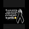 marisolcepeda2 - @marisolcepeda2 - TikTok