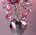 Marisol Chinchilla - Facebook
