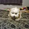 Marisol Cordova - @marisol.cordova73 - TikTok