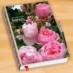 Marisol Cubas - Facebook