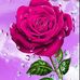 Marisol Guajardo - Facebook
