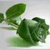 Marisol Hurtado - Facebook