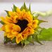 Marisol Mayo - Facebook