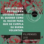 Marisol Naranjo - @marisol.naranjo - Instagram