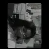 Marisol Nuñez - @marisol_nunez - TikTok