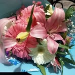 Marisol Obregon Rodrigez - Facebook