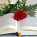 Marisol Reynoso - Facebook