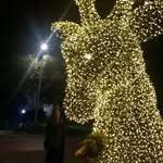 Marisol Rivero - @marisol.rivero.775 - Instagram