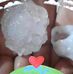 Marisol Rocha - Facebook