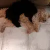 unpocodetodo:) - @marisol.romano8 - TikTok