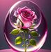 Marisol Rosas - Facebook
