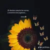 Marisol - @marisolst - TikTok
