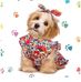 Marisol Ulloa - Facebook